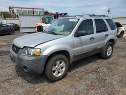Salvage cars for sale from Copart Kapolei, HI: 2006 Ford Escape XLT