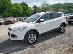Salvage cars for sale at Ellwood City, PA auction: 2016 Ford Escape SE