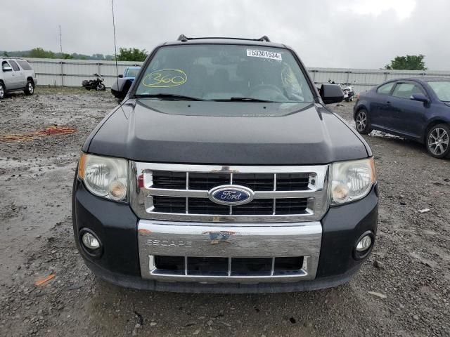 2011 Ford Escape Limited