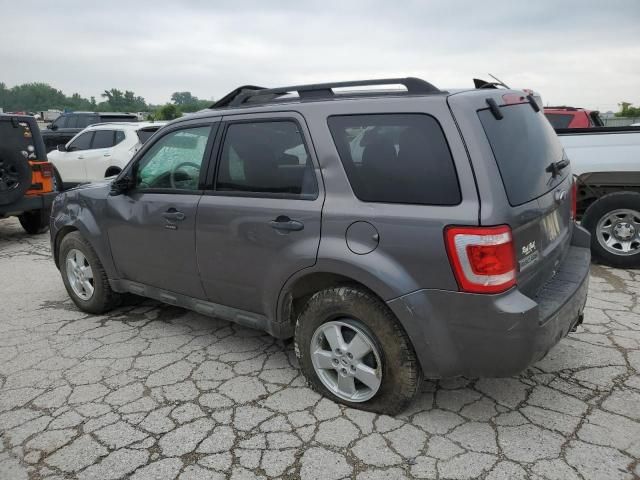 2010 Ford Escape XLT