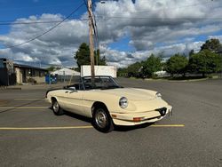 Salvage cars for sale from Copart Portland, OR: 1985 Alfa Romeo Veloce 2000 Spider