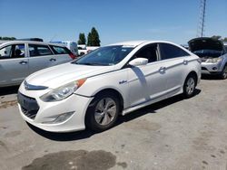 Salvage cars for sale from Copart Hayward, CA: 2013 Hyundai Sonata Hybrid