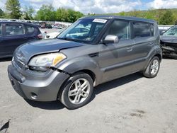 Salvage cars for sale at Grantville, PA auction: 2010 KIA Soul +