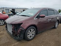 Salvage cars for sale at Elgin, IL auction: 2017 Honda Odyssey EXL