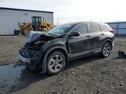 Salvage cars for sale from Copart Airway Heights, WA: 2019 Honda CR-V EXL