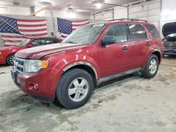 Ford Escape xlt salvage cars for sale: 2012 Ford Escape XLT