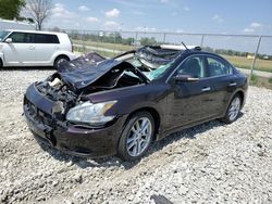 Salvage cars for sale at Cicero, IN auction: 2011 Nissan Maxima S