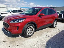 Salvage cars for sale at Arcadia, FL auction: 2020 Ford Escape SE