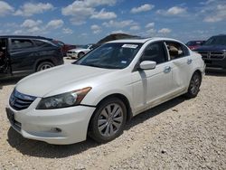 Salvage cars for sale at Temple, TX auction: 2011 Honda Accord EXL