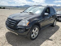 Salvage cars for sale at Magna, UT auction: 2009 Mercedes-Benz ML 350
