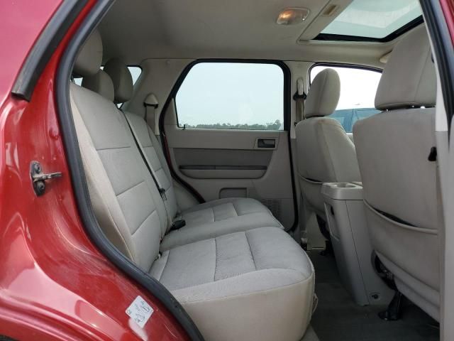 2011 Ford Escape XLT