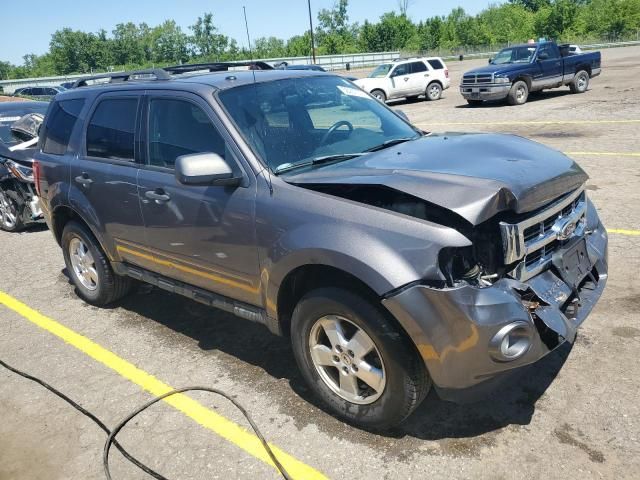 2012 Ford Escape XLT