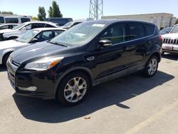Salvage cars for sale at Hayward, CA auction: 2013 Ford Escape SEL