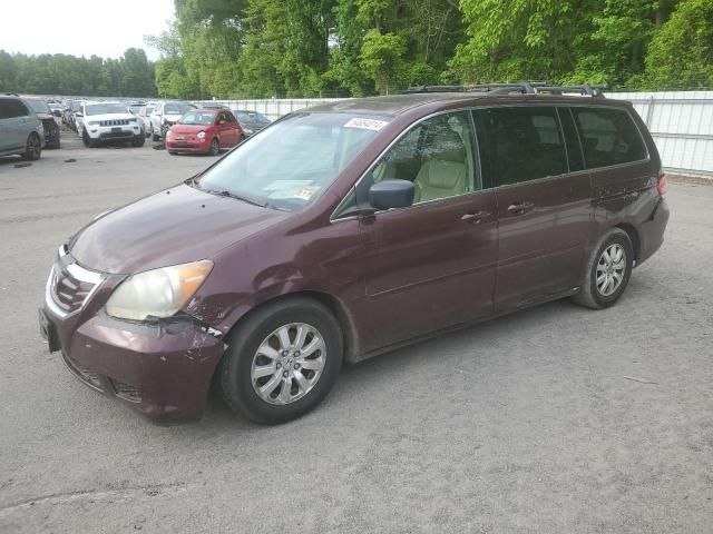 2009 Honda Odyssey EXL