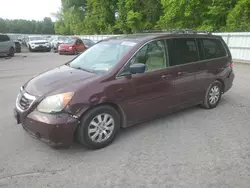 2009 Honda Odyssey EXL en venta en Glassboro, NJ