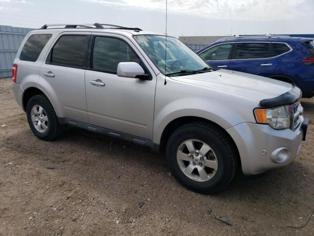 2010 Ford Escape Limited