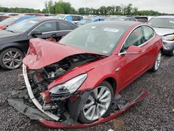 Salvage cars for sale at Fredericksburg, VA auction: 2019 Tesla Model 3