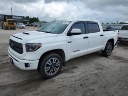 Salvage cars for sale at Harleyville, SC auction: 2019 Toyota Tundra Crewmax SR5