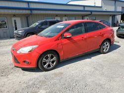 Ford salvage cars for sale: 2013 Ford Focus SE