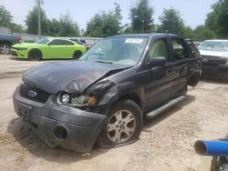 Salvage cars for sale from Copart Midway, FL: 2006 Ford Escape XLT