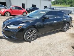 Salvage cars for sale at Grenada, MS auction: 2019 Nissan Maxima S