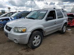 Ford Escape Limited salvage cars for sale: 2006 Ford Escape Limited
