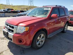 Salvage cars for sale from Copart Littleton, CO: 2012 Ford Escape Limited