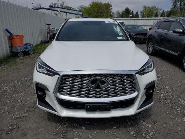 2023 Infiniti QX55 Luxe