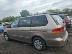 2003 Honda Odyssey EXL