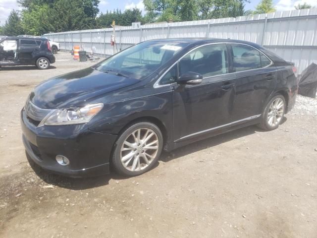 2010 Lexus HS 250H