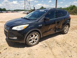 Salvage cars for sale at China Grove, NC auction: 2013 Ford Escape SE