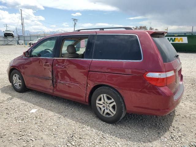 2005 Honda Odyssey EXL