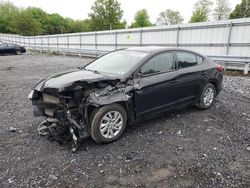 Vehiculos salvage en venta de Copart Grantville, PA: 2019 Hyundai Elantra SE