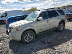 Ford salvage cars for sale: 2008 Ford Escape Limited