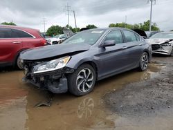 Salvage cars for sale at Columbus, OH auction: 2017 Honda Accord EXL