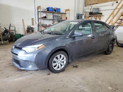 Salvage cars for sale at Ham Lake, MN auction: 2016 Toyota Corolla L