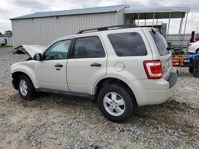 2009 Ford Escape XLT