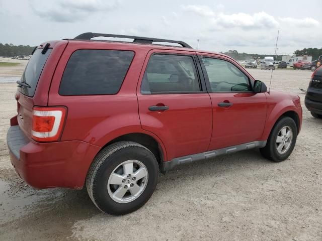 2011 Ford Escape XLT