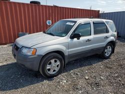 Salvage cars for sale from Copart Homestead, FL: 2004 Ford Escape XLT