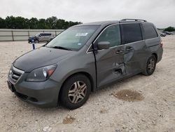 Salvage cars for sale at New Braunfels, TX auction: 2007 Honda Odyssey EXL
