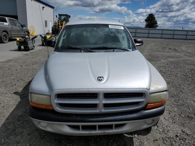 2001 Dodge Dakota