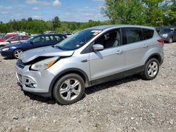 Salvage cars for sale at Candia, NH auction: 2014 Ford Escape SE