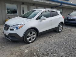 Salvage cars for sale at Earlington, KY auction: 2016 Buick Encore