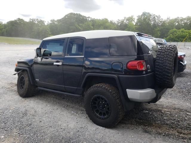 2007 Toyota FJ Cruiser