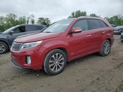 Salvage cars for sale at Baltimore, MD auction: 2014 KIA Sorento SX