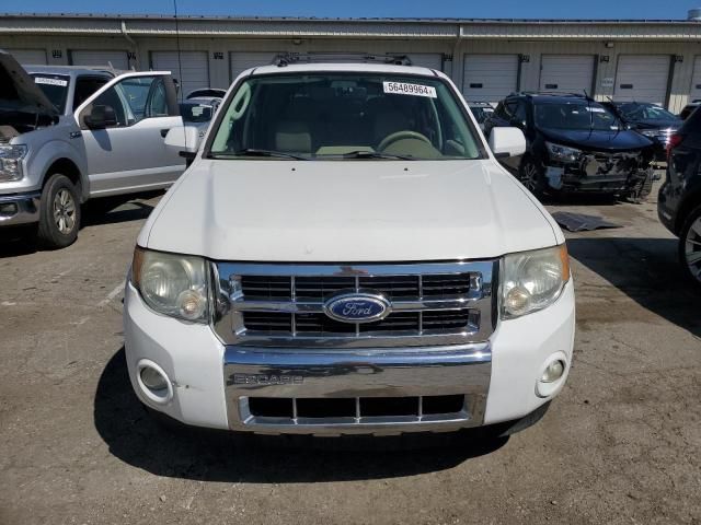 2010 Ford Escape Limited