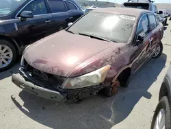 Salvage cars for sale at Martinez, CA auction: 2008 Honda Accord LXP