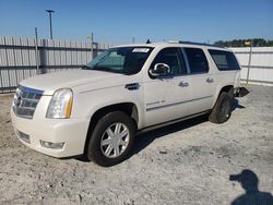 Vehiculos salvage en venta de Copart Lumberton, NC: 2010 Cadillac Escalade ESV Platinum