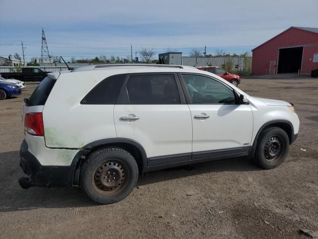 2011 KIA Sorento Base