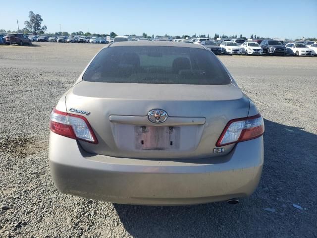 2009 Toyota Camry Hybrid